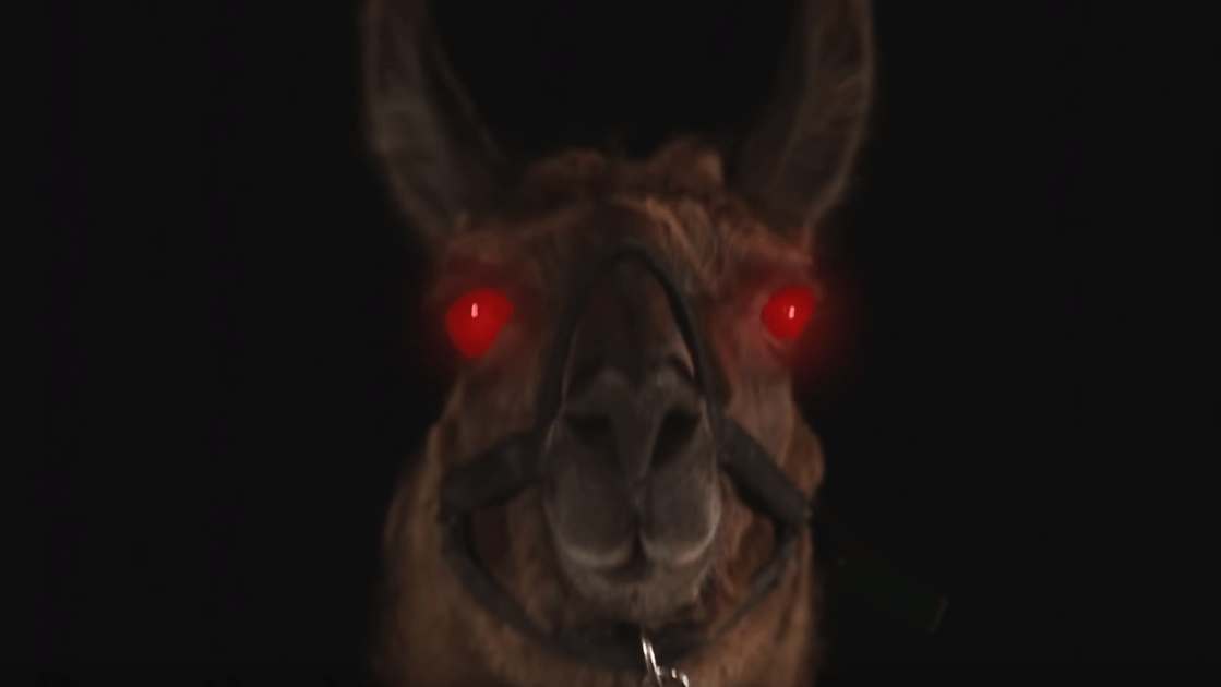 Copertina di Llamageddon, l'horror trash con un lama è in streaming a un milione di dollari!