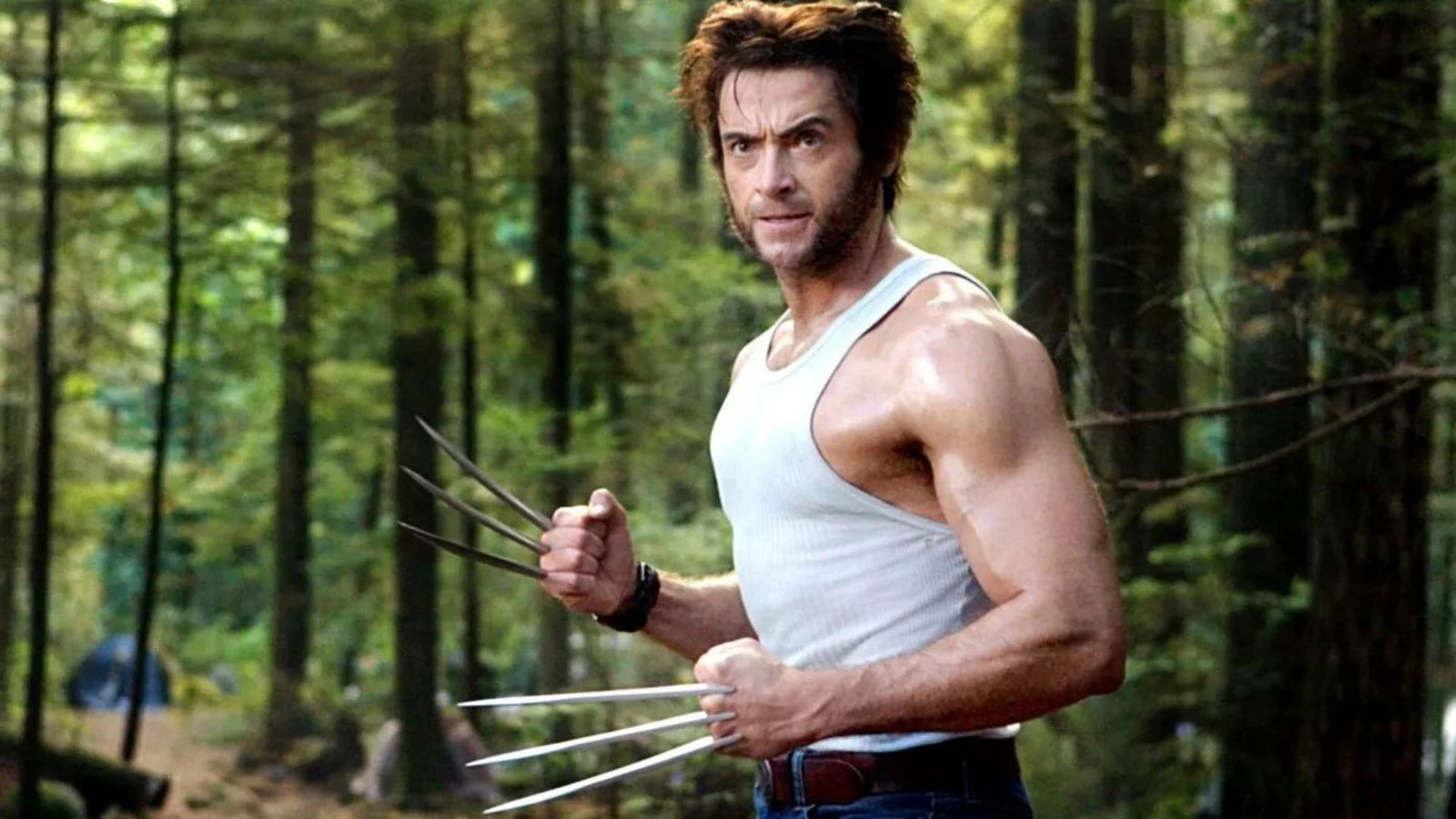 Immagine di Hugh Jackman svela cosa mangia per diventare Wolverine [GUARDA]