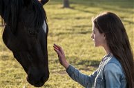 Copertina di Black Beauty: Autobiografia di un cavallo, trailer e trama del film Disney