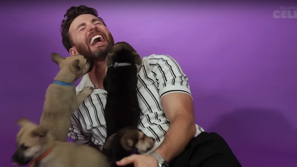 Immagine di Chris Evans: l'intervista con i cuccioli è la cosa più bella che vedrete oggi