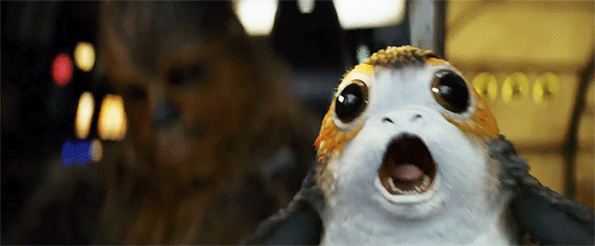 Copertina di Porg sì, Porg no: i fan divisi sulle creature di Star Wars: Gli Ultimi Jedi