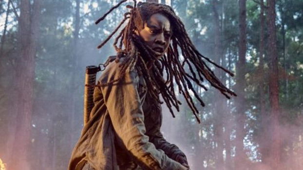 Copertina di Norman Reedus e la sorpresa per l'ultimo giorno di Danai Gurira a TWD