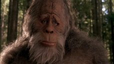Copertina di Il mistero del Bigfoot: storia, avvistamenti e verità scientifiche