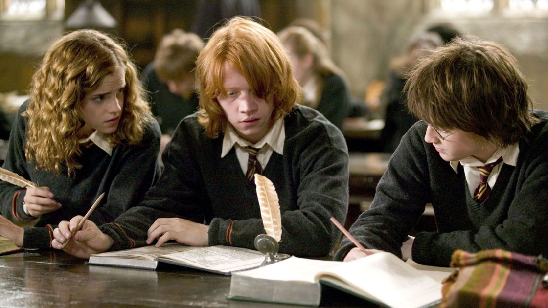 Copertina di 10 libri di Harry Potter da regalare a Natale
