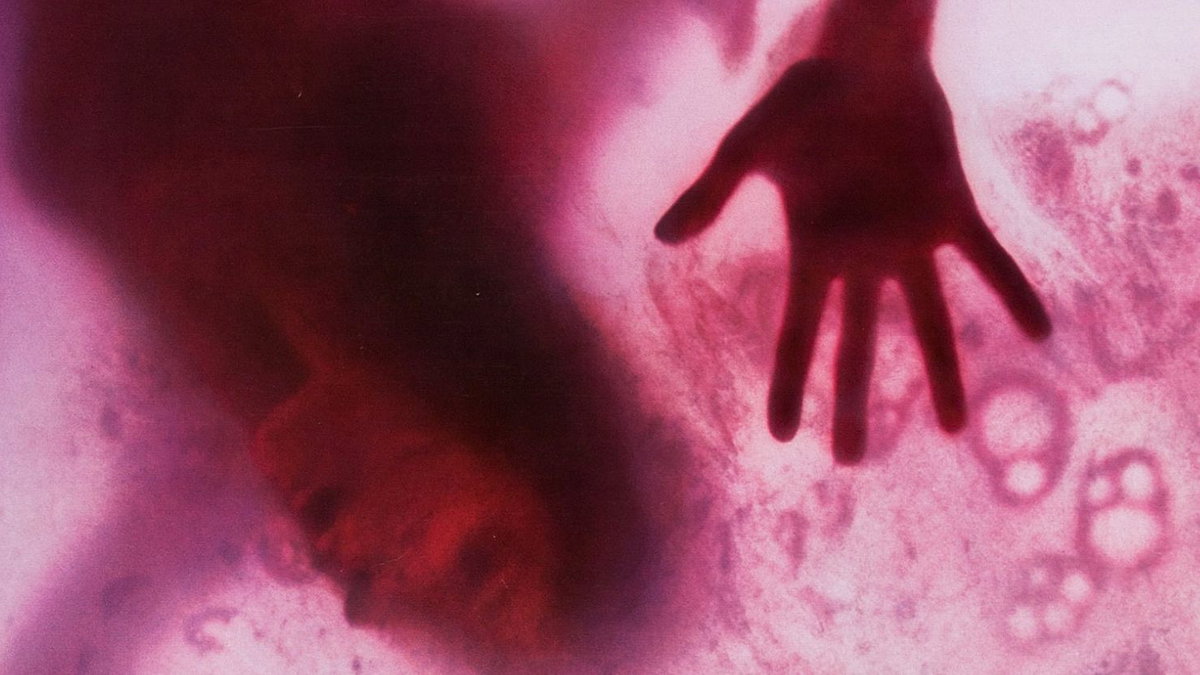 Immagine di Blob: in arrivo il remake diretto da David Bruckner