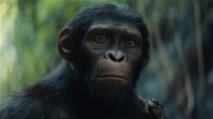 Copertina di Il pianeta delle scimmie: tutti i film della saga (e l'ordine in cui guardarli)