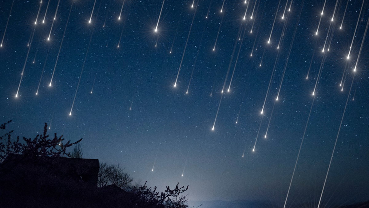 Immagine di La Notte delle stelle cadenti, nel 2023 si cambia data