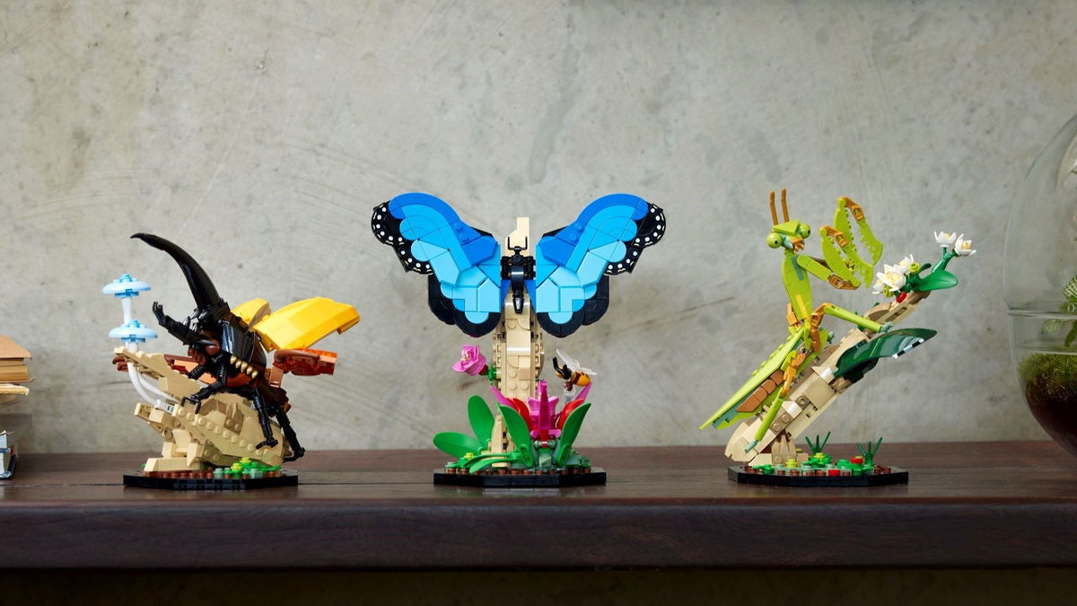 Immagine di Tutti entomologi con il Set LEGO Ideas Collezione di insetti