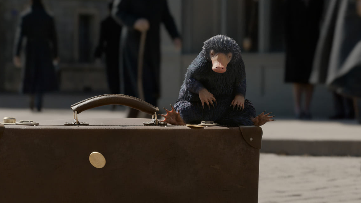 Immagine di Animali fantastici: tutte le creature magiche apparse nei film